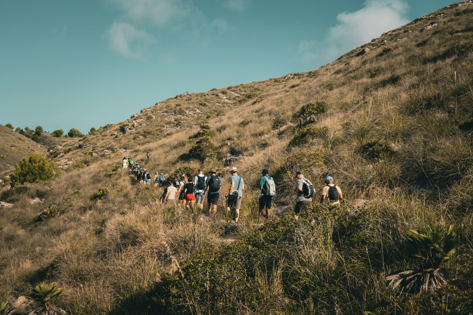 Colleagues hiking up a grassy hill trail during a team day out
