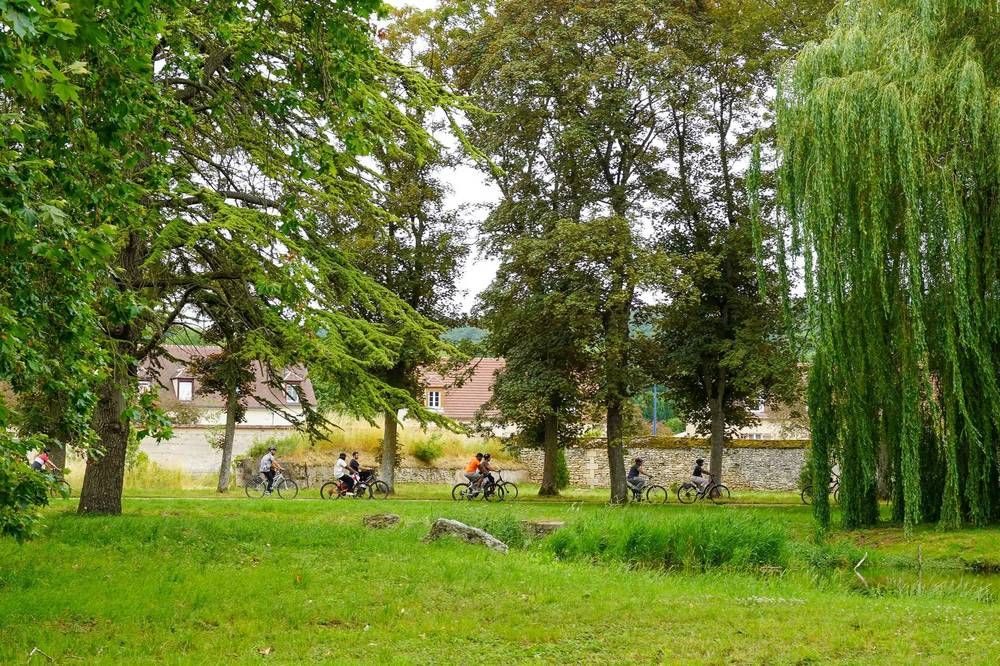 A group of colleagues cycling on a scenic path during an outdoor corporate team-building activity